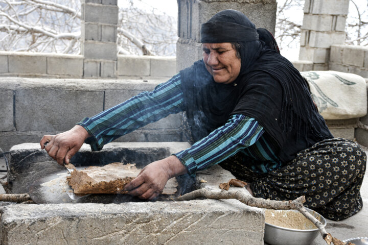 نانِ بلوط