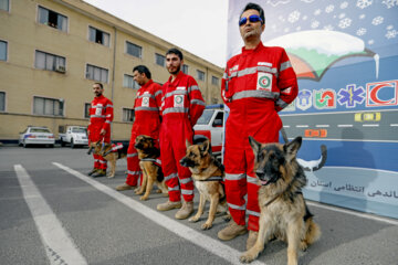 Rescue units exercise 