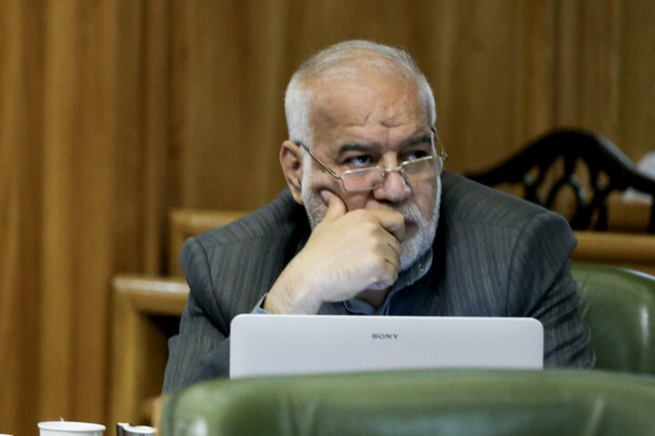 جمع آوری ۸۰۰ اصله درخت آفت زده تهران/ بوستان چیتگر پس از سالها سیراب شد