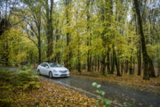 Beaux paysages de fin d'automne dans le parc forestier d'Alangdareh