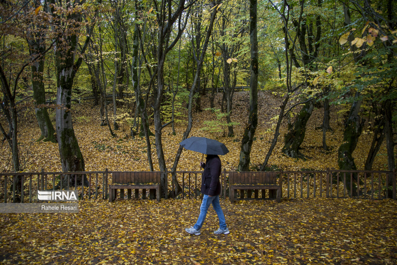 بارش باران زمستانی شیراز و مناطق مرکزی فارس  را فرا می گیرد