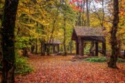 Herbst in den hyrkanischen Wäldern