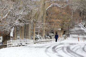 First snow in last days of autumn 