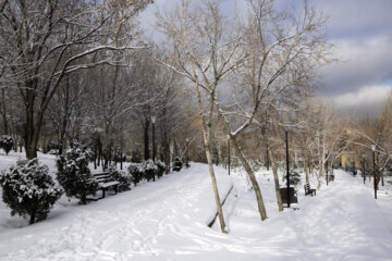 First snow in last days of autumn 