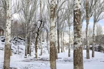 First snow in last days of autumn 