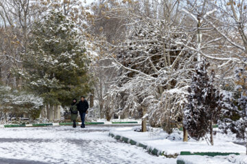 First snow in last days of autumn 