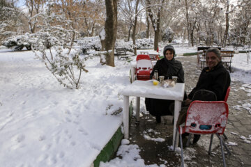 First snow in last days of autumn 