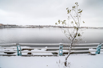 First snow in last days of autumn 