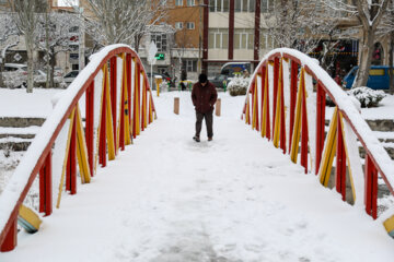 First snow in last days of autumn 