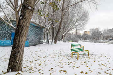 First snow in last days of autumn 