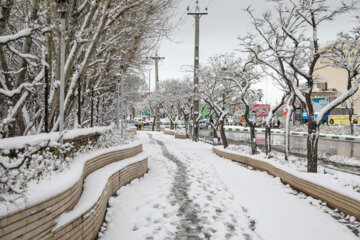 First snow in last days of autumn 