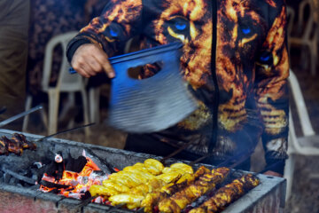 زیست شبانه در ساحل بوشهر