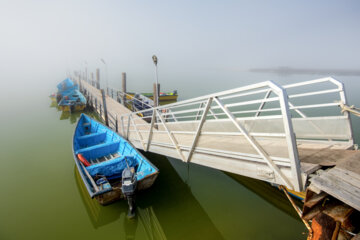 لایروبی کانال آشور، سه هزار هکتار به پهنه آبی خلیج گرگان اضافه کرد