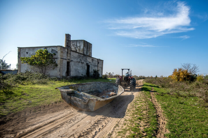 تهیه آییننامه قرقهای اختصاصی بعد از ۴۰ سال/بازگشت آهوی ایرانی به طبیعت