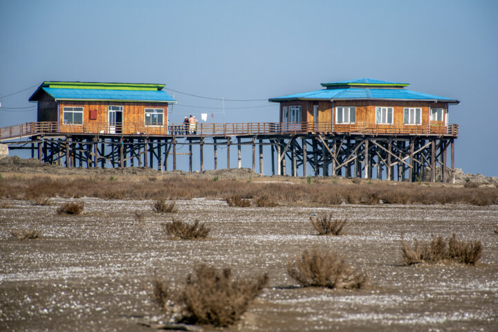 تهیه آییننامه قرقهای اختصاصی بعد از ۴۰ سال/بازگشت آهوی ایرانی به طبیعت