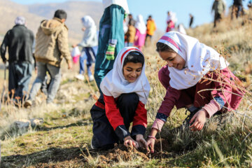 Une belle action populaire pour planter un milliard de jeunes arbres ; Cela a été fait mercredi soir (20 décembre 2023) en présence de nombreux élèves qui ont planté deux mille jeunes amandiers dans le village de Changar Jalilvand à Kermanshah. Photo : Bahman Zareï