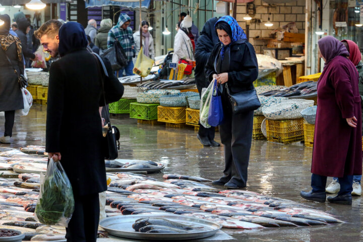 کاهش قیمت ماهیان دریایی و رونق دوره گردی در مازندران