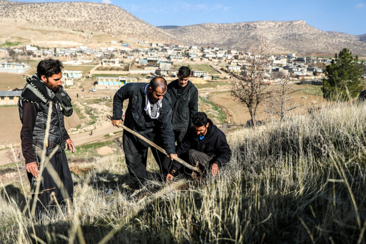 نهال‌کاری دانش آموزان روستای چنگر