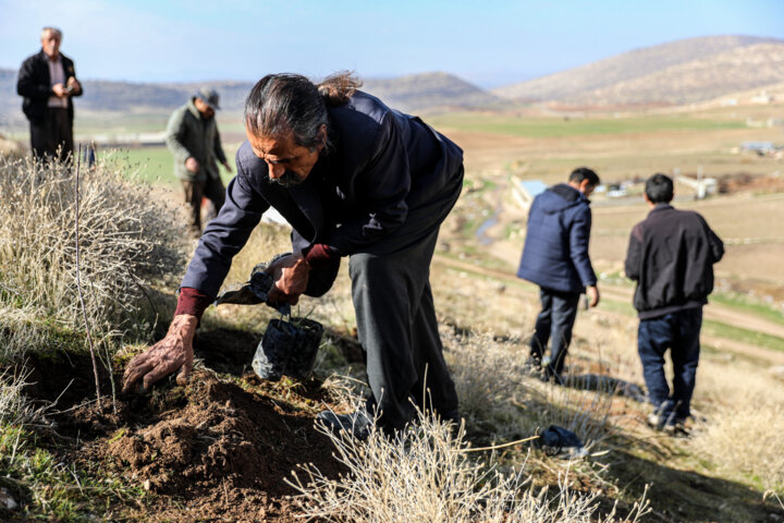 نهال‌کاری دانش آموزان روستای چنگر