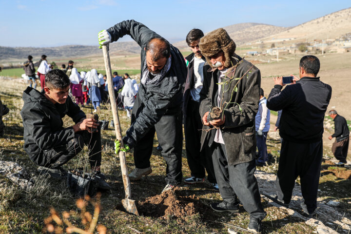 نهال‌کاری دانش آموزان روستای چنگر