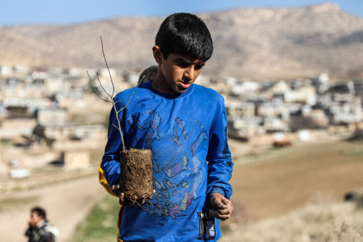 نهال‌کاری دانش آموزان روستای چنگر