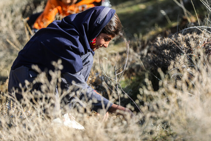 نهال‌کاری دانش آموزان روستای چنگر