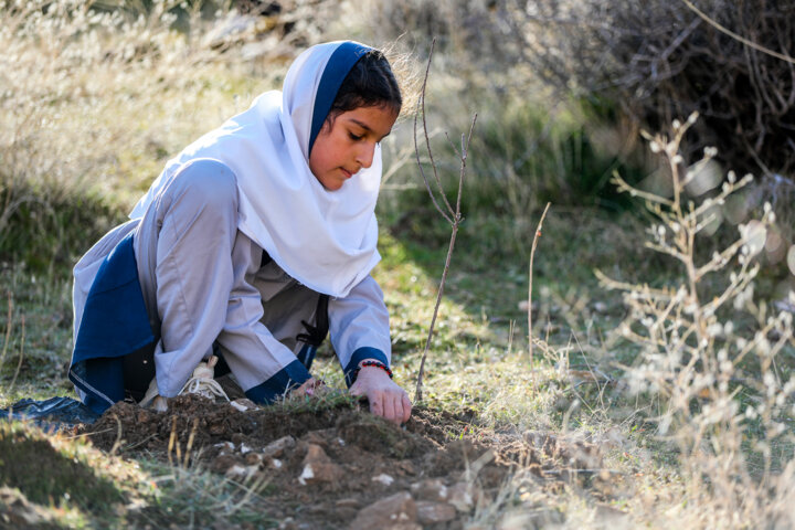 نهال‌کاری دانش آموزان روستای چنگر