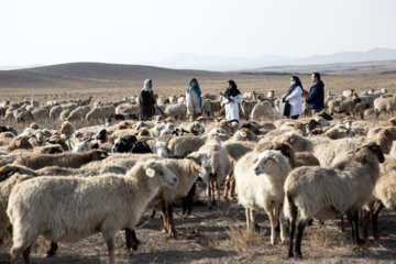 کادر سلامت مرکز بهداشت روستای«اخترآباد» در جاده روستای «اختر آباد» به روستای «محمدآباد قمشلو» چوپانان منطقه را برای بیماری‌های پرفشاری خون و دیابت غربالگری می کنند