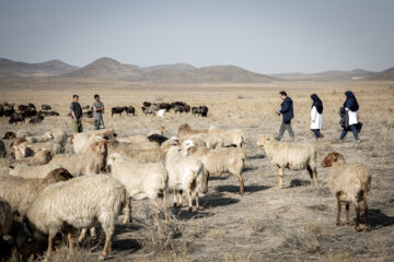 کادر سلامت مرکز بهداشت روستای«اخترآباد» در جاده روستای «اختر آباد» به روستای «محمدآباد قمشلو» چوپانان منطقه را برای بیماری‌های پرفشاری خون و دیابت غربالگری می کنند