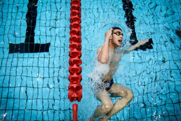 Ligue iranienne de natation