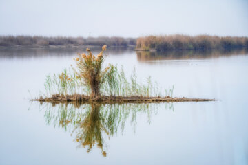 Hur-ul-Azim super wetland