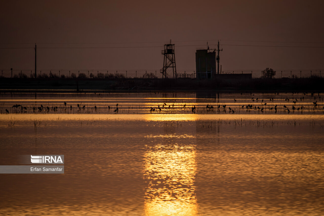 تالاب بین المللی هورالعظیم
