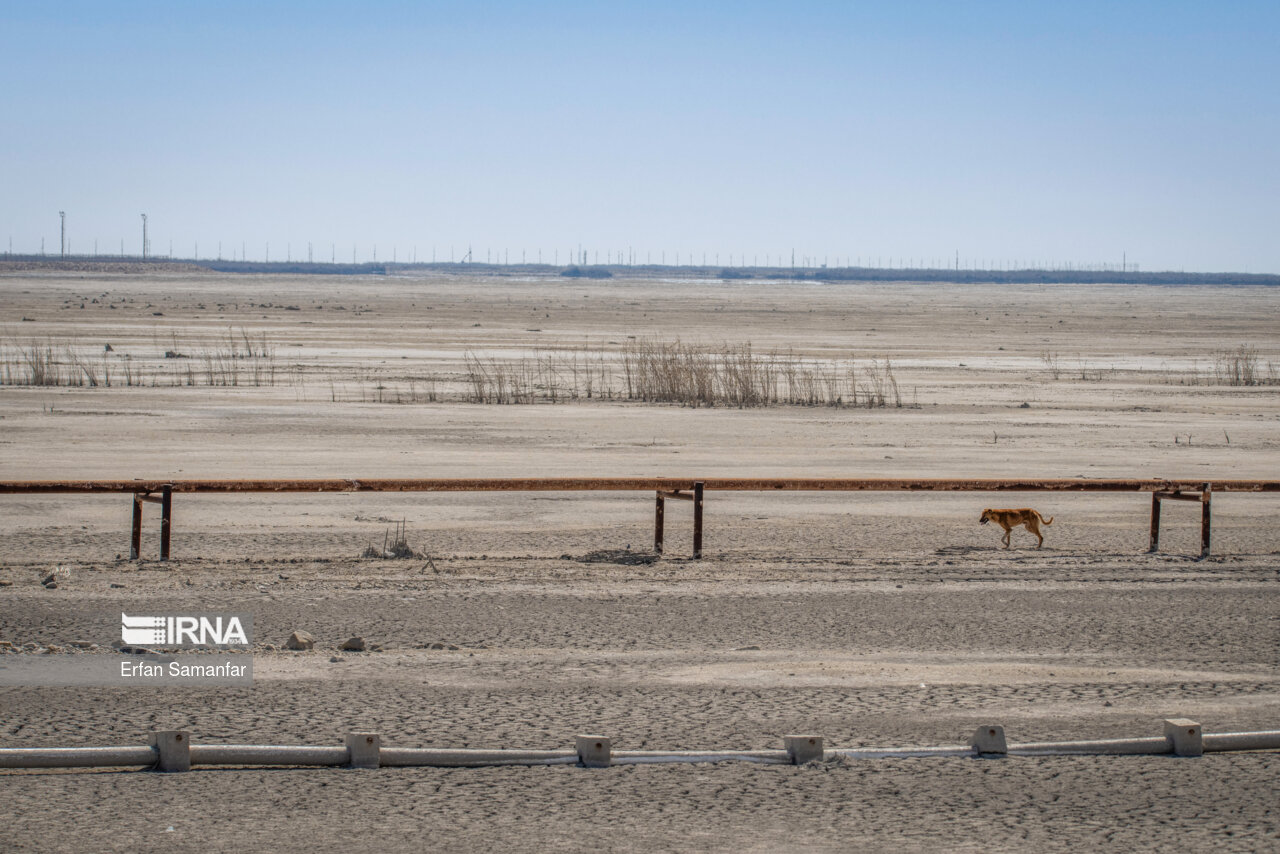 تالاب بین المللی هورالعظیم