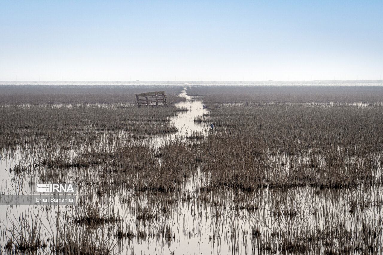 تالاب بین المللی هورالعظیم