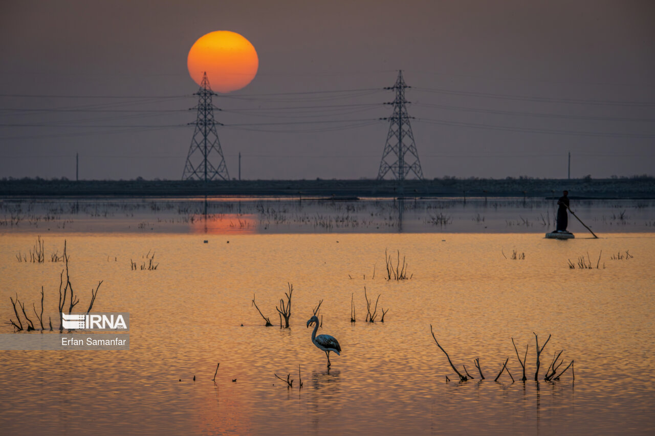 ماهیگیر و فلامینگو در غروب هور