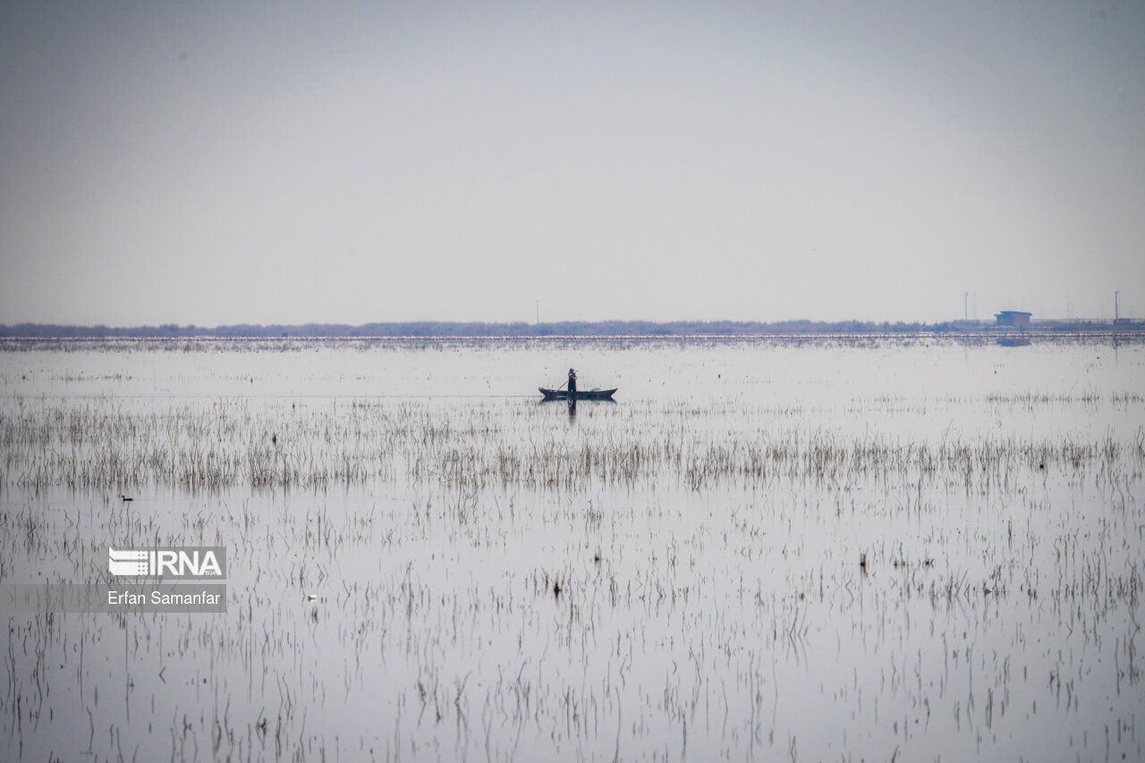 ماهیگیر هور