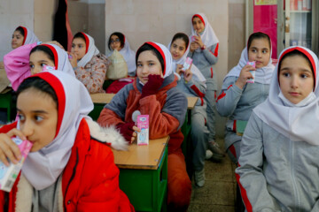 Distribution gratuite de lait dans les écoles iraniennes 