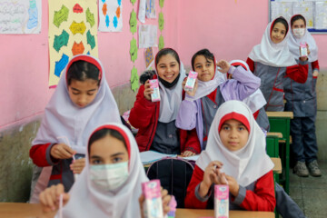 Distribution gratuite de lait dans les écoles iraniennes 