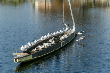 Rasht, the city which is always awake