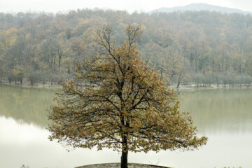 Rasht, the city which is always awake