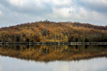 Rasht, the city which is always awake