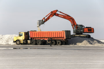 برداشت نمک از بستر خشک دریاچه ارومیه
