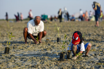 Plus de 2000 arbres et arbustes plantés à l'île de Qeshm dans le sud de l’Iran 