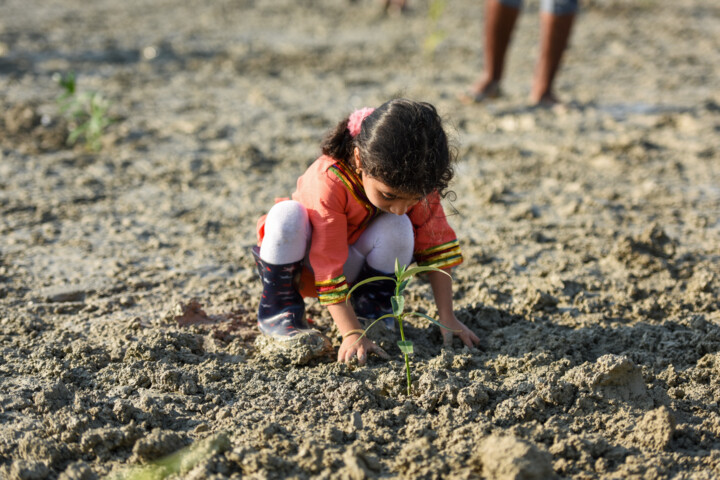 عزم جدی دولت در مبارزه با آلودگی هوا/نوسازی ۱۰۰هزار تاکسی بالای ۱۲ سال تا دو سال آینده