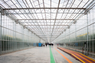 Inauguration of modern greenhouse in Iran's Zanjan