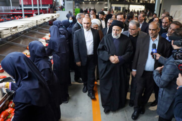 Inauguration of modern greenhouse in Iran's Zanjan