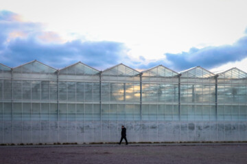 Inauguración de un Invernadero de cristal moderno en Zanyán 