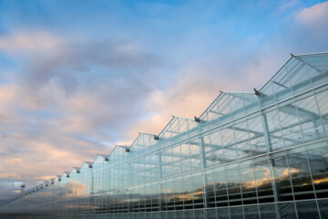 Inauguración de un Invernadero de cristal moderno en Zanyán 