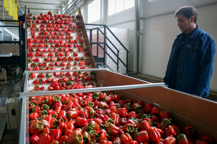 از هدفگذاری احداث ۱۵ پایانه صادراتی تا خودکفایی در تکنولوژی ساخت