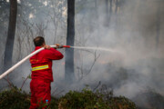آتش سوزی جنگل های مرزن آباد چالوس خاموش شد